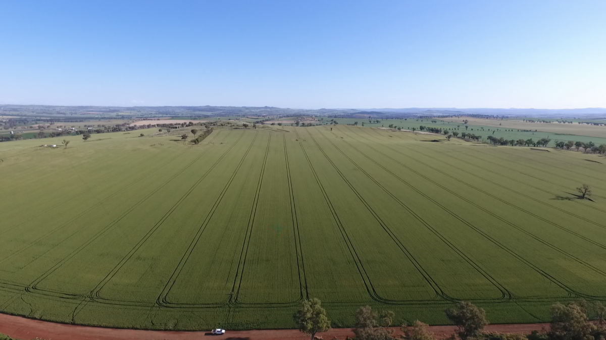 playzone gcash login password